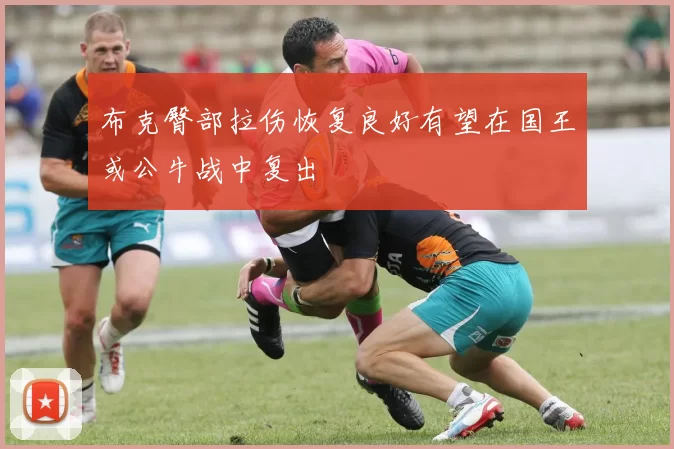 布克臀部拉伤恢复良好有望在国王或公牛战中复出